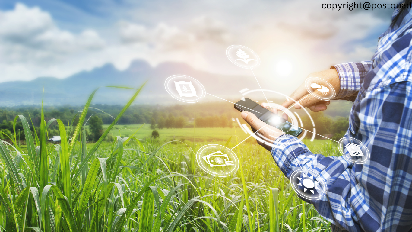 Farming Innovations: Exploring Cutting-Edge Technologies in Agricultural Production
